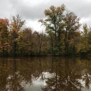 Meet your Posher, Mallory